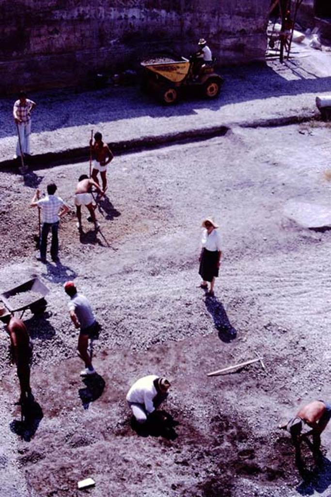 Oplontis, 1977. Looking east across north garden, towards doorway to room 69, in top right. At the bottom of the photo, a group of root-cavities have been discovered.  
Photo by Stanley A. Jashemski.   
Source: The Wilhelmina and Stanley A. Jashemski archive in the University of Maryland Library, Special Collections (See collection page) and made available under the Creative Commons Attribution-Non Commercial License v.4. See Licence and use details. J77f0171