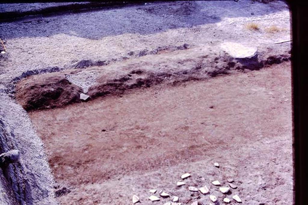 Oplontis, 1977. Area 56, looking east in north-east corner. The area has now been cleaned back to the original level, and a group of root-cavities found, lower part of photo.  In the top-right of the photo is the white painted filled root-cavity of the fourth of the line of large trees. In the top-left of the photo, another root-cavity of a large tree has been discovered, still filled with its lapilli.  Photo by Stanley A. Jashemski.   
Source: The Wilhelmina and Stanley A. Jashemski archive in the University of Maryland Library, Special Collections (See collection page) and made available under the Creative Commons Attribution-Non Commercial License v.4. See Licence and use details. J77f0187
