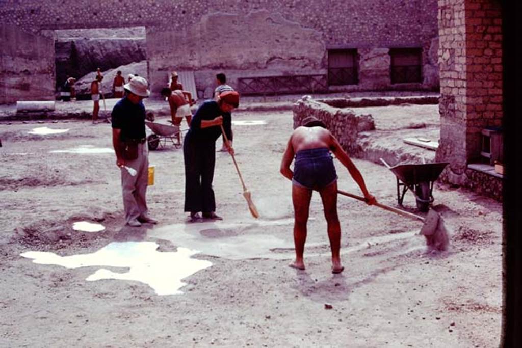 Oplontis, 1977. Area 56, the north garden, looking east. Hard at work, cleaning and painting. Photo by Stanley A. Jashemski.   
Source: The Wilhelmina and Stanley A. Jashemski archive in the University of Maryland Library, Special Collections (See collection page) and made available under the Creative Commons Attribution-Non Commercial License v.4. See Licence and use details. J77f0250