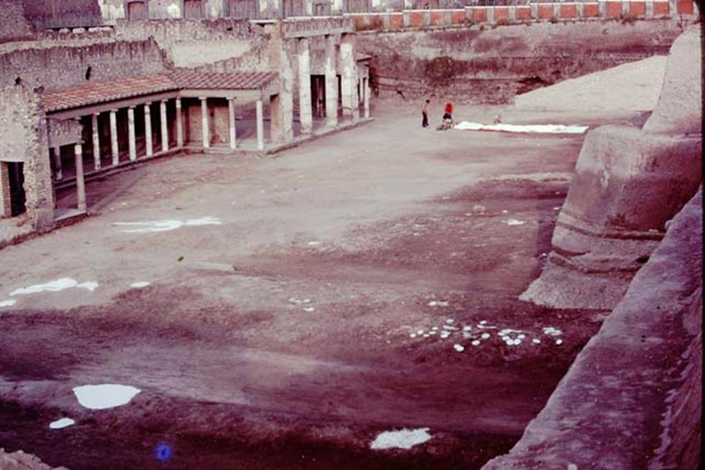 Oplontis, 1977. Area 56, the north garden. Looking west across the cleaned area, with root cavities painted white. Photo by Stanley A. Jashemski.   
Source: The Wilhelmina and Stanley A. Jashemski archive in the University of Maryland Library, Special Collections (See collection page) and made available under the Creative Commons Attribution-Non Commercial License v.4. See Licence and use details. J77f0254