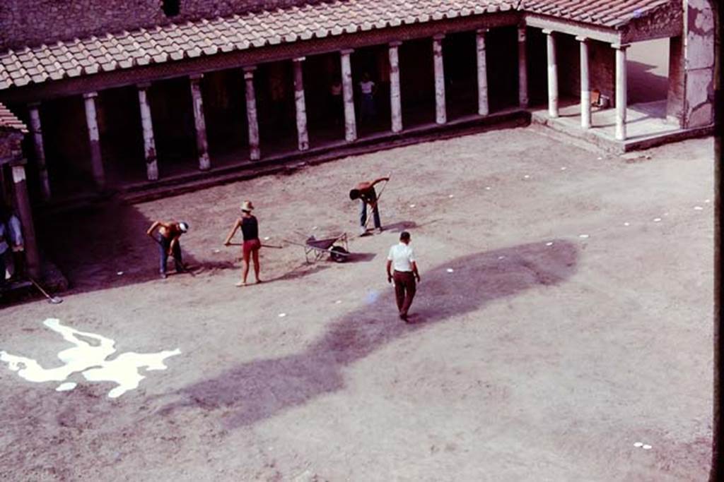Oplontis, 1977. Looking south across north garden, towards east portico 34.
The line of white painted root cavities border the east-west path along the rear of the villa. Photo by Stanley A. Jashemski.   
Source: The Wilhelmina and Stanley A. Jashemski archive in the University of Maryland Library, Special Collections (See collection page) and made available under the Creative Commons Attribution-Non Commercial License v.4. See Licence and use details. J77f0295