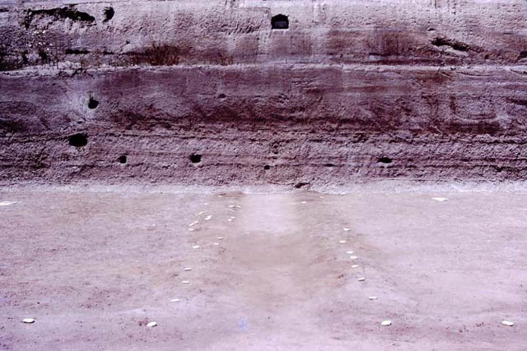 Oplontis, 1977. Looking north along central path, towards unexcavated north garden.  (The large branch of the tree, that Wilhelmina mentions below, was found in the cavity on the left, which seems to be surrounded by white lapilli).
Photo by Stanley A. Jashemski.   
Source: The Wilhelmina and Stanley A. Jashemski archive in the University of Maryland Library, Special Collections (See collection page) and made available under the Creative Commons Attribution-Non Commercial License v.4. See Licence and use details. J77f0357
According to Wilhelmina, “Large quantities of what appeared to be partially carbonized tree-roots were found in several cavities, and what appeared to be parts of the trunk were found in the lapilli above ground. Most spectacular was the large branch (180cm long) of a tree found in the volcanic ash, at a height of about 250cms (8 ft) at the northern end of the excavations. The cavities left by the spreading branches of this huge tree, which grew in the yet unexcavated part of the garden, can be seen in the cut in the volcanic fill.”
See Jashemski, W. F., 1979. The Gardens of Pompeii. New York: Caratzas, (p.300)