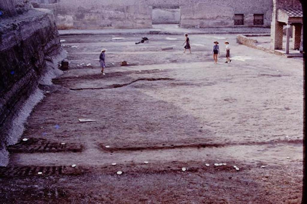 Oplontis, 1977. Looking east across north garden. The central path, with its white painted root cavities, is shown in the lower part of the photo. Photo by Stanley A. Jashemski.   
Source: The Wilhelmina and Stanley A. Jashemski archive in the University of Maryland Library, Special Collections (See collection page) and made available under the Creative Commons Attribution-Non Commercial License v.4. See Licence and use details. J77f0313