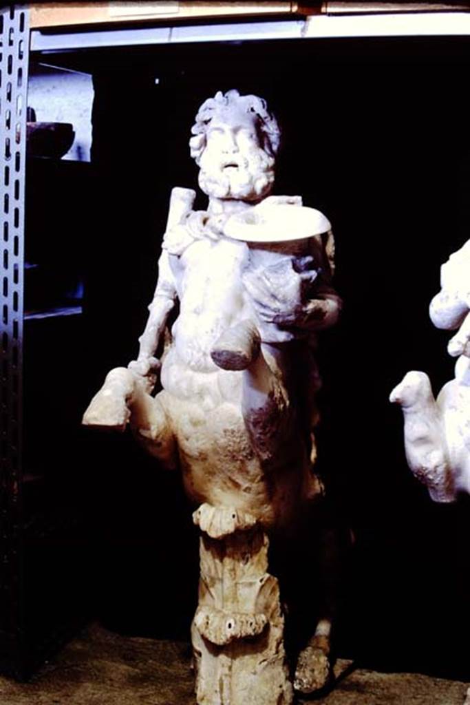 Oplontis Villa of Poppea, 1977. One of a group of four centaurs, a male holding a club and a crater. 
Two centaur fountains had been on each side of the passageway.
There was no evidence of pipes, so they had not been used as fountains in their final location.
Photo by Stanley A. Jashemski.
SAP inventory number 70070.
Source: The Wilhelmina and Stanley A. Jashemski archive in the University of Maryland Library, Special Collections (See collection page) and made available under the Creative Commons Attribution-Non Commercial License v.4. See Licence and use details.
J77f0342