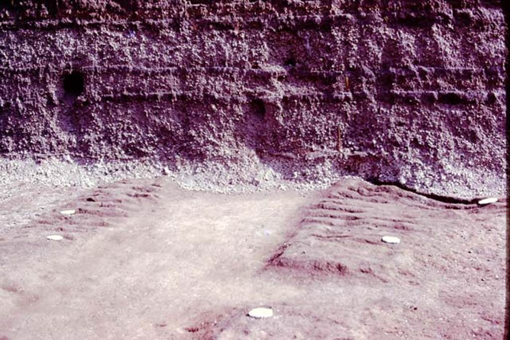 Oplontis, 1977. Looking north into the unexcavated, at the end of the central path from room 21. Photo by Stanley A. Jashemski.   
Source: The Wilhelmina and Stanley A. Jashemski archive in the University of Maryland Library, Special Collections (See collection page) and made available under the Creative Commons Attribution-Non Commercial License v.4. See Licence and use details. J77f0407
