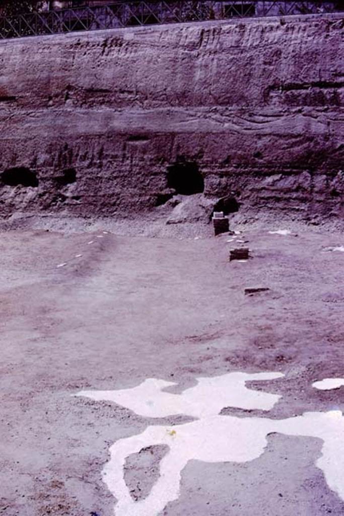 Oplontis, 1977. Looking north-west in the north garden.
Looking from the huge root cavity found in 1974, which took 230 large buckets of cement to fill in 1975, along the diagonal line of a pathway, with bases.
Wilhelmina thought the diagonal pathway probably joined with the central pathway leading out from room 21, although this could not be proved as the meeting point would be under the still unexcavated area.
Photo by Stanley A. Jashemski.
Source: The Wilhelmina and Stanley A. Jashemski archive in the University of Maryland Library, Special Collections (See collection page) and made available under the Creative Commons Attribution-Non Commercial License v.4. See Licence and use details.
J77f0358
According to Wilhelmina, “At the edge of the diagonal passageway on the east, four masonry statue bases were found. On them the marble shafts that supported the sculptured white marble heads had been mounted. In 1975, we had found the portrait head of a woman of the Julio-Claudian period. In addition, the Italian excavators had found the head of the goddess Aphrodite, the child Dionysus and the fine head of a Julio-Claudian boy, which some claimed was most certainly the child Nero.
These herms, which would have been set in the middle of clumps of plants, mainly oleanders, reminded us of the garden paintings that showed sculpture set amid masses of flowering oleanders. Only the shaft of one other herm was found, and a few details of the hair still on the shaft were sufficient for Stefano De Caro to identify the missing head as that of a bearded archaic-type Dionysus. 
See Jashemski, W.F., 2014. Discovering the Gardens of Pompeii: Memoirs of a Garden Archaeologist, (p.255)