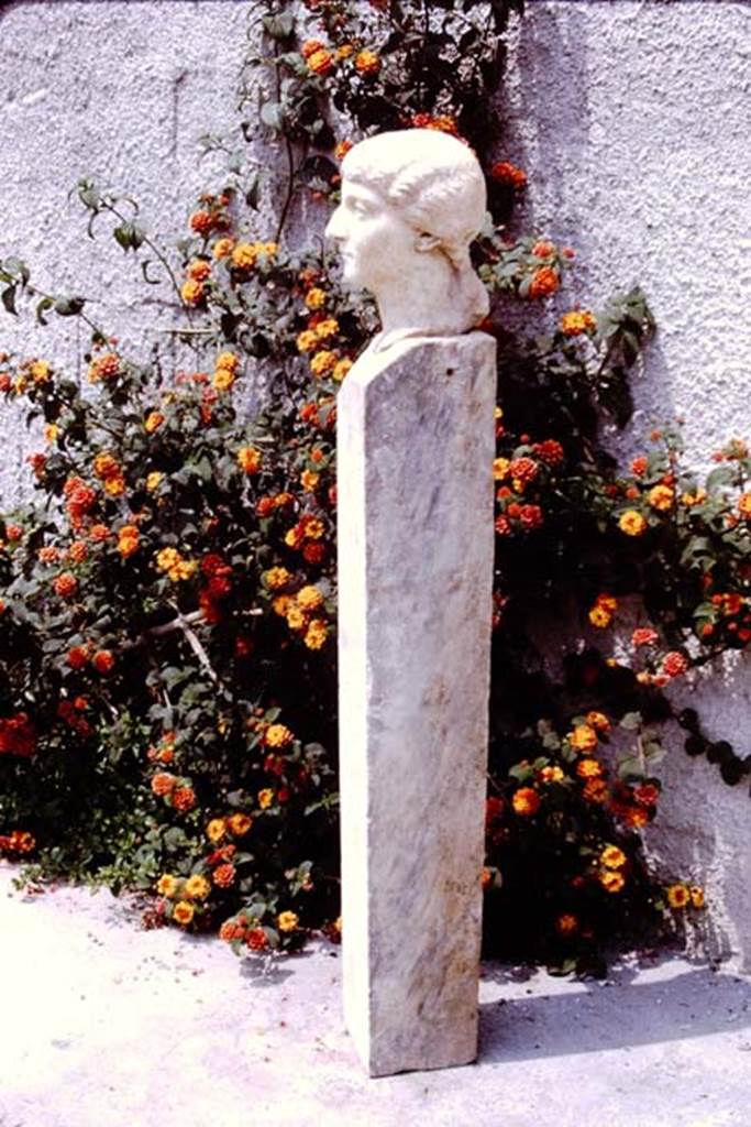 Oplontis Villa of Poppea, 1975. Beautiful marble head and shaft found in the north garden. Photo by Stanley A. Jashemski. 
Source: The Wilhelmina and Stanley A. Jashemski archive in the University of Maryland Library, Special Collections (See collection page) and made available under the Creative Commons Attribution-Non Commercial License v.4. See Licence and use details.
J75f0134
