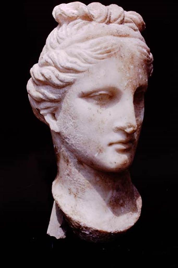 Oplontis, 1975. Marble head of a woman found along passageway. Photo by Stanley A. Jashemski.   
Source: The Wilhelmina and Stanley A. Jashemski archive in the University of Maryland Library, Special Collections (See collection page) and made available under the Creative Commons Attribution-Non Commercial License v.4. See Licence and use details. J75f0136