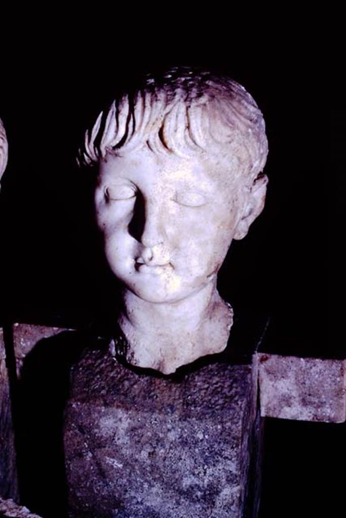 Oplontis, 1977. Marble head of boy on herm. Photo by Stanley A. Jashemski.   
Source: The Wilhelmina and Stanley A. Jashemski archive in the University of Maryland Library, Special Collections (See collection page) and made available under the Creative Commons Attribution-Non Commercial License v.4. See Licence and use details. J77f0336