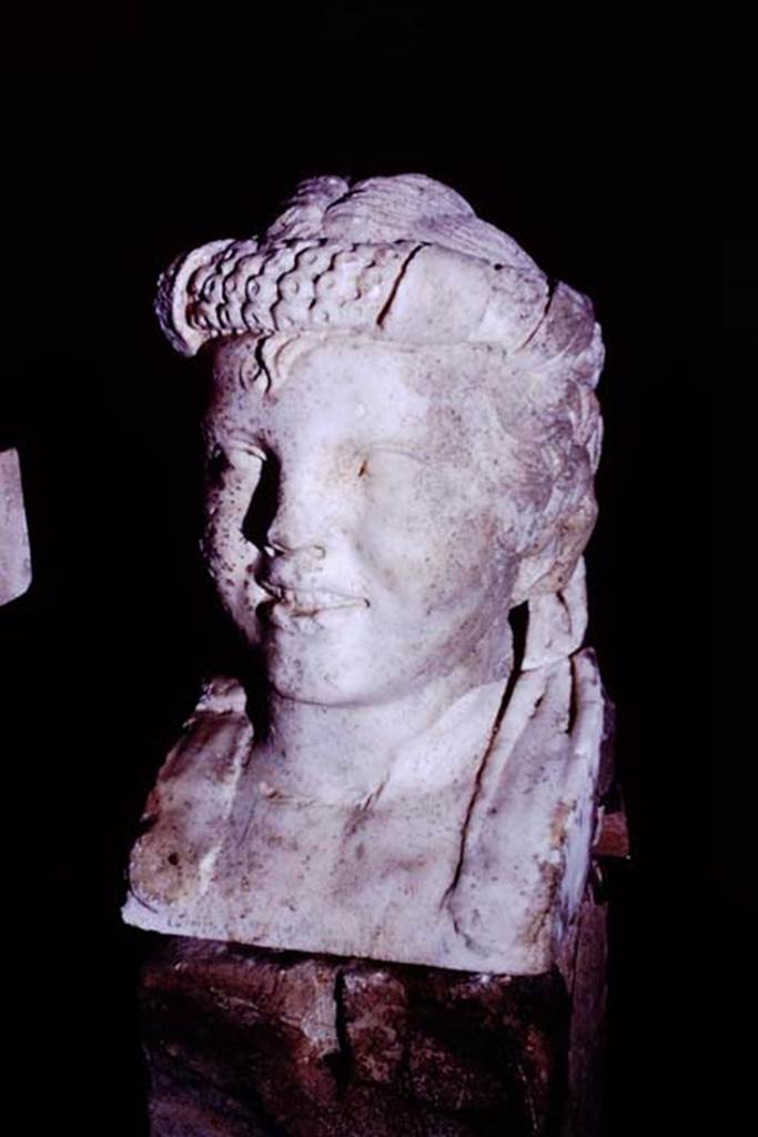 Oplontis, 1977. Marble head of boy, on herm. Photo by Stanley A. Jashemski.   
Source: The Wilhelmina and Stanley A. Jashemski archive in the University of Maryland Library, Special Collections (See collection page) and made available under the Creative Commons Attribution-Non Commercial License v.4. See Licence and use details. J77f0338