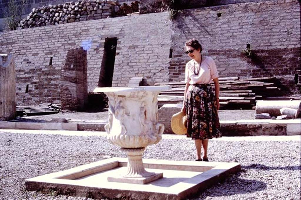 Oplontis, 1978. Wilhelmina studying the large crater vase. Photo by Stanley A. Jashemski.   
Source: The Wilhelmina and Stanley A. Jashemski archive in the University of Maryland Library, Special Collections (See collection page) and made available under the Creative Commons Attribution-Non Commercial License v.4. See Licence and use details. J78f0052