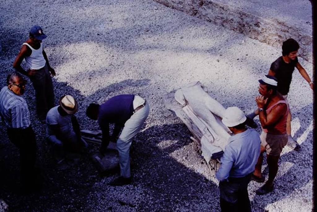 Oplontis 1978. Area 92, marble statue of the ephebos laying on the lapilli at the side of the swimming pool. 
Photo by Stanley A. Jashemski.   
Source: The Wilhelmina and Stanley A. Jashemski archive in the University of Maryland Library, Special Collections (See collection page) and made available under the Creative Commons Attribution-Non Commercial License v.4. See Licence and use details.
J78f0044