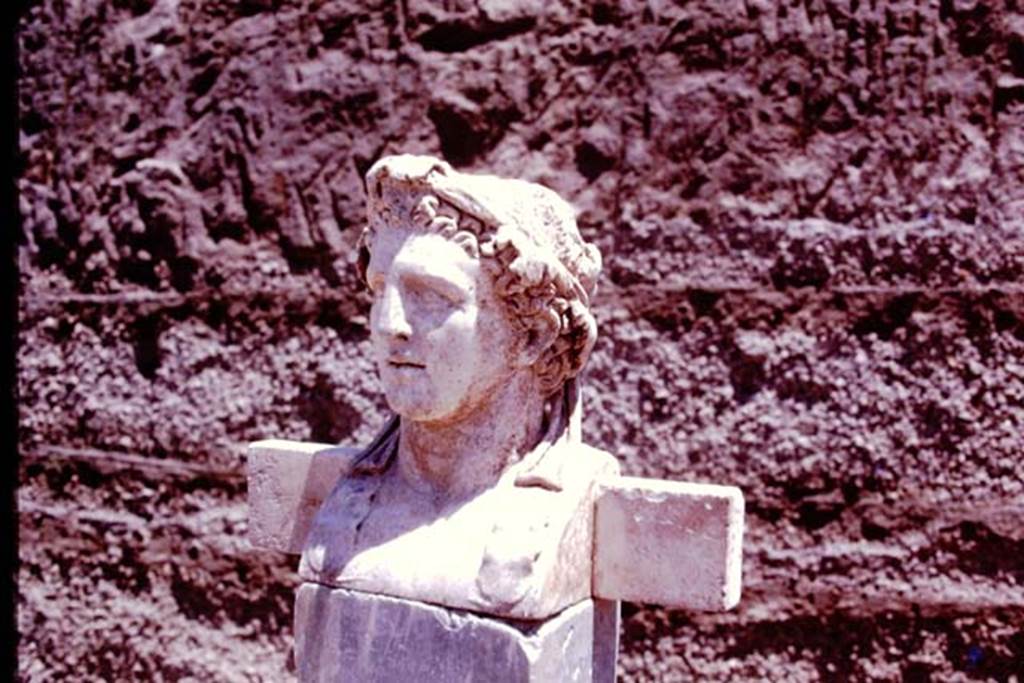 Oplontis Villa of Poppea, c.1978. Herm of Hercules. Photo by Stanley A. Jashemski.   
Source: The Wilhelmina and Stanley A. Jashemski archive in the University of Maryland Library, Special Collections (See collection page) and made available under the Creative Commons Attribution-Non Commercial License v.4. See Licence and use details.
Oplo0111
SAP inventory number 72742.
