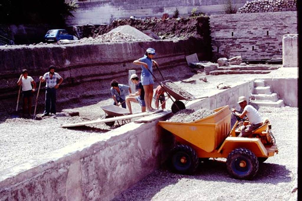 Oplontis, 1978. Area 92, looking south along east side of pool. The Scavi workmen had removed much of the lapilli, now the remaining was carefully being removed. 
Photo by Stanley A. Jashemski.   
Source: The Wilhelmina and Stanley A. Jashemski archive in the University of Maryland Library, Special Collections (See collection page) and made available under the Creative Commons Attribution-Non Commercial License v.4. See Licence and use details. J78f0251
According to Wilhelmina, “during this summer we did our first excavating in the south part of the area on the east side of the large swimming pool. It was here they had found the statues of the ephebos, Nike and Hercules which were displayed on their bases. Five other statue bases were found, but without statues”.
See Jashemski, W.F., 2014. Discovering the Gardens of Pompeii: Memoirs of a Garden Archaeologist, (p.265).