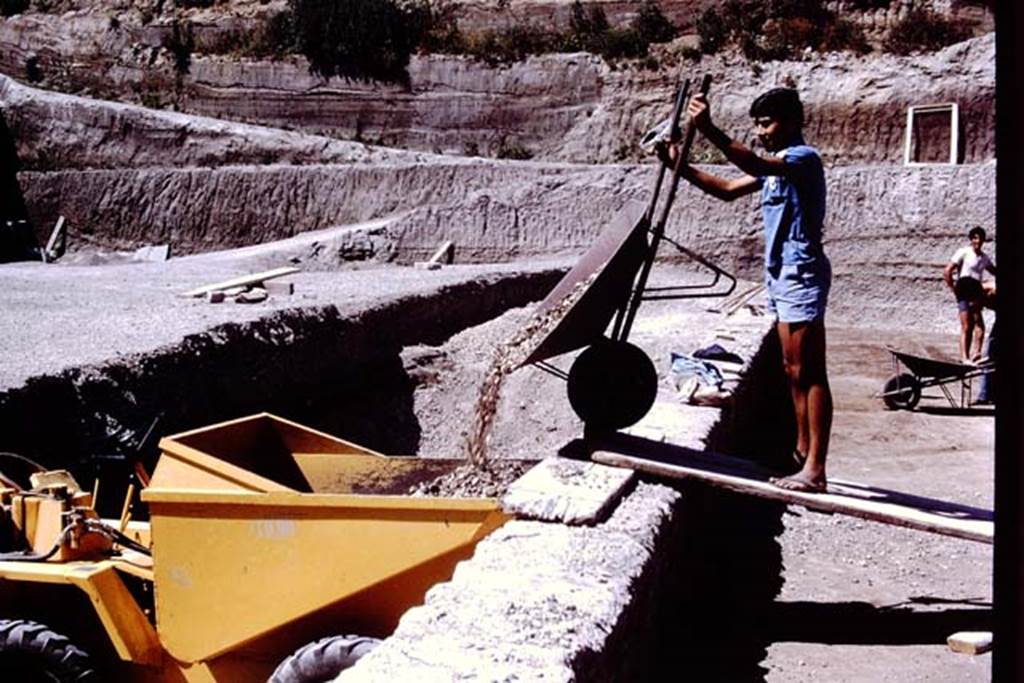 Oplontis, 1978. Looking north along east side of pool, showing the enormous task of excavating in a “quarry”.  Photo by Stanley A. Jashemski.   
Source: The Wilhelmina and Stanley A. Jashemski archive in the University of Maryland Library, Special Collections (See collection page) and made available under the Creative Commons Attribution-Non Commercial License v.4. See Licence and use details. J78f0315