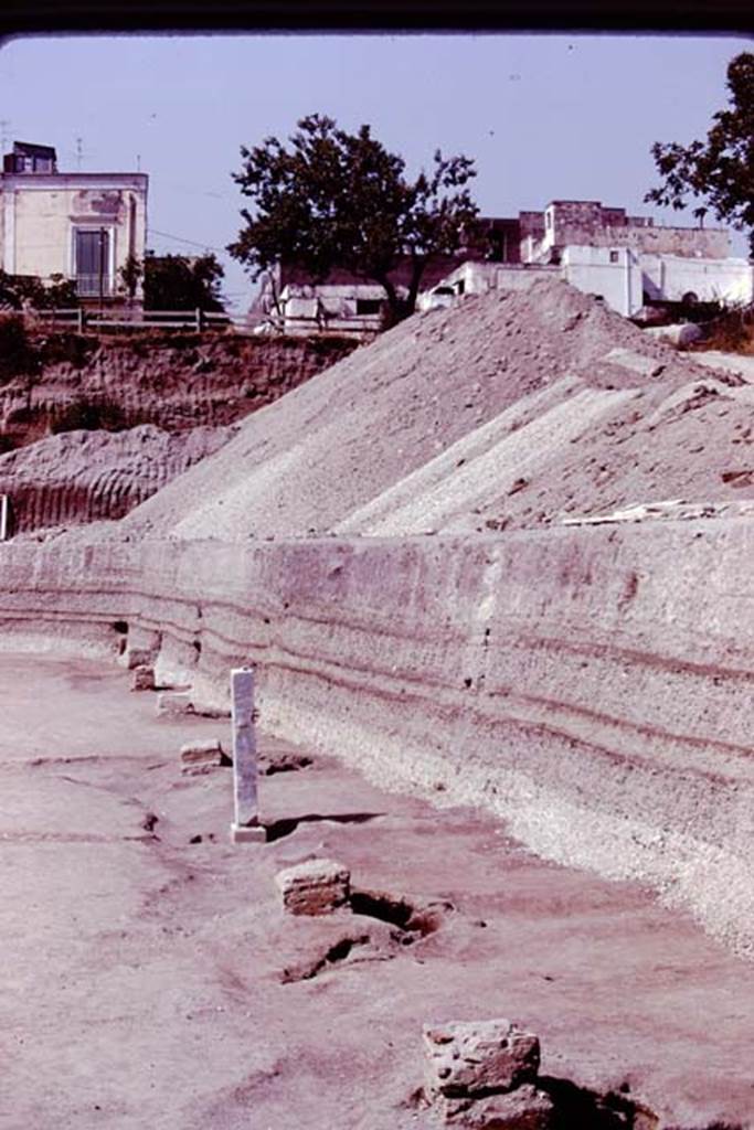 Oplontis, 1978. Looking north along east side of pool, with row of statue bases.
Seven are clear of the lapilli, the eighth is still enclosed. Photo by Stanley A. Jashemski.   
Source: The Wilhelmina and Stanley A. Jashemski archive in the University of Maryland Library, Special Collections (See collection page) and made available under the Creative Commons Attribution-Non Commercial License v.4. See Licence and use details. J78f0339