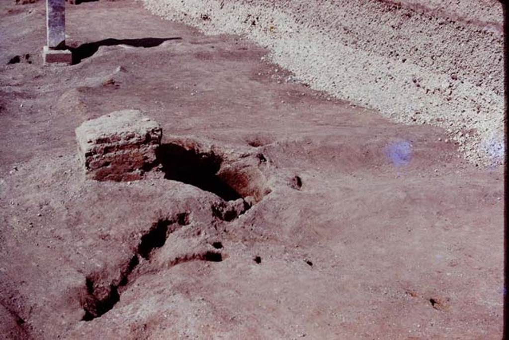 Oplontis, 1978. Looking north along east side of poo, and towards statue base II, and root-cavity. Photo by Stanley A. Jashemski.   
Source: The Wilhelmina and Stanley A. Jashemski archive in the University of Maryland Library, Special Collections (See collection page) and made available under the Creative Commons Attribution-Non Commercial License v.4. See Licence and use details. J78f0346