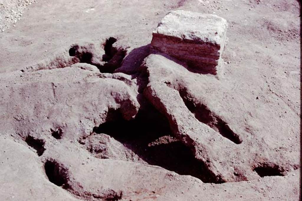 Oplontis, 1978. Root cavity behind statue base IV. Photo by Stanley A. Jashemski.   
Source: The Wilhelmina and Stanley A. Jashemski archive in the University of Maryland Library, Special Collections (See collection page) and made available under the Creative Commons Attribution-Non Commercial License v.4. See Licence and use details. J78f0349