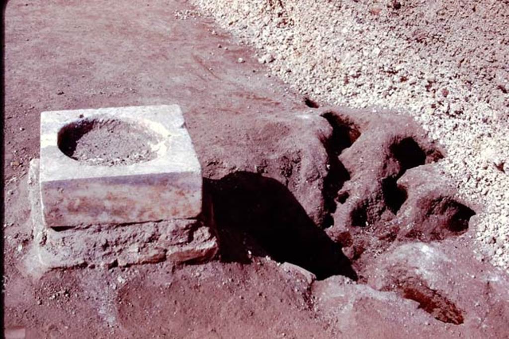 Oplontis, 1978. Statue base V, and the root cavity at its rear. Photo by Stanley A. Jashemski.   
Source: The Wilhelmina and Stanley A. Jashemski archive in the University of Maryland Library, Special Collections (See collection page) and made available under the Creative Commons Attribution-Non Commercial License v.4. See Licence and use details. J78f0354