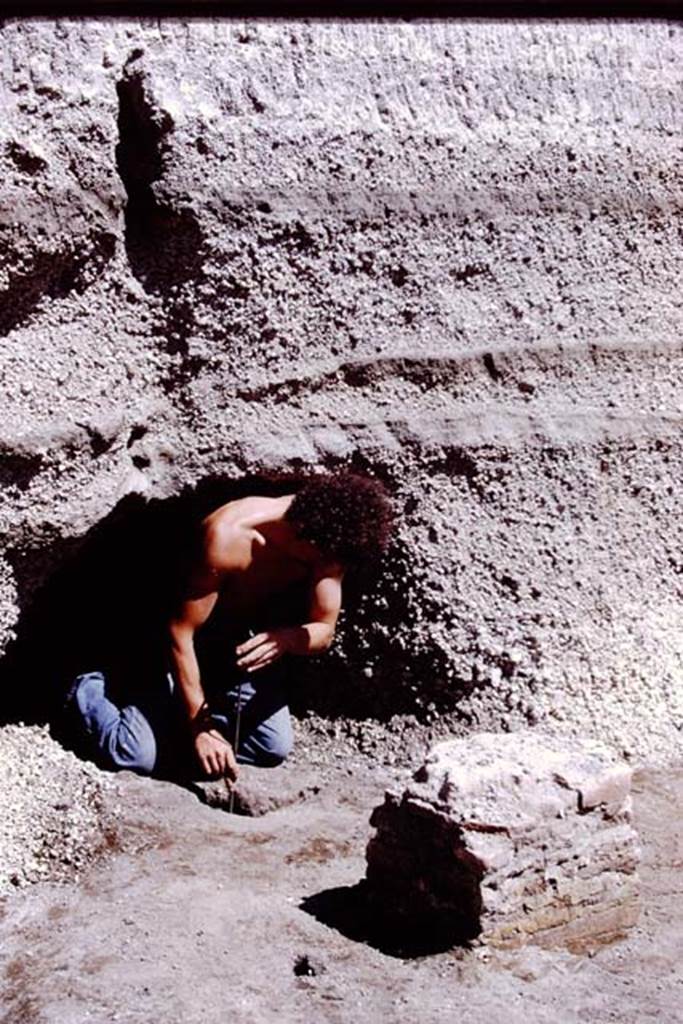 Oplontis, 1978. Another root cavity, behind a statue base, but still under the unexcavated lapilli. Photo by Stanley A. Jashemski.   
Source: The Wilhelmina and Stanley A. Jashemski archive in the University of Maryland Library, Special Collections (See collection page) and made available under the Creative Commons Attribution-Non Commercial License v.4. See Licence and use details. J78f0312