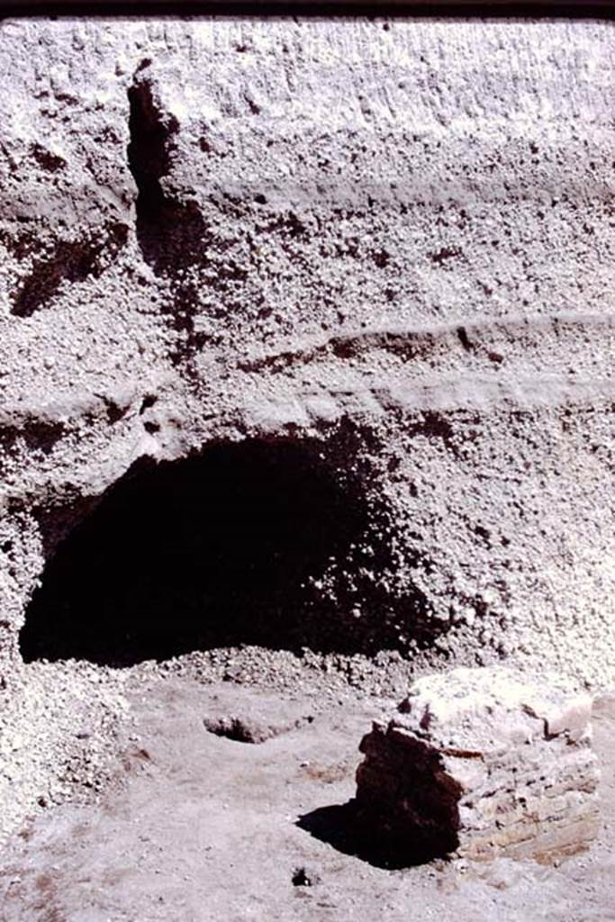 Oplontis, 1978. Root cavity behind a base, under the unexcavated lapilli. Photo by Stanley A. Jashemski.   
Source: The Wilhelmina and Stanley A. Jashemski archive in the University of Maryland Library, Special Collections (See collection page) and made available under the Creative Commons Attribution-Non Commercial License v.4. See Licence and use details. J78f0314