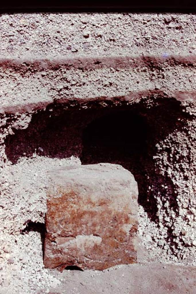 Oplontis, 1978. Area 92, east side of pool. Statue base VII, still enclosed in its lapilli. 
Photo by Stanley A. Jashemski.   
Source: The Wilhelmina and Stanley A. Jashemski archive in the University of Maryland Library, Special Collections (See collection page) and made available under the Creative Commons Attribution-Non Commercial License v.4. See Licence and use details. J78f0356
