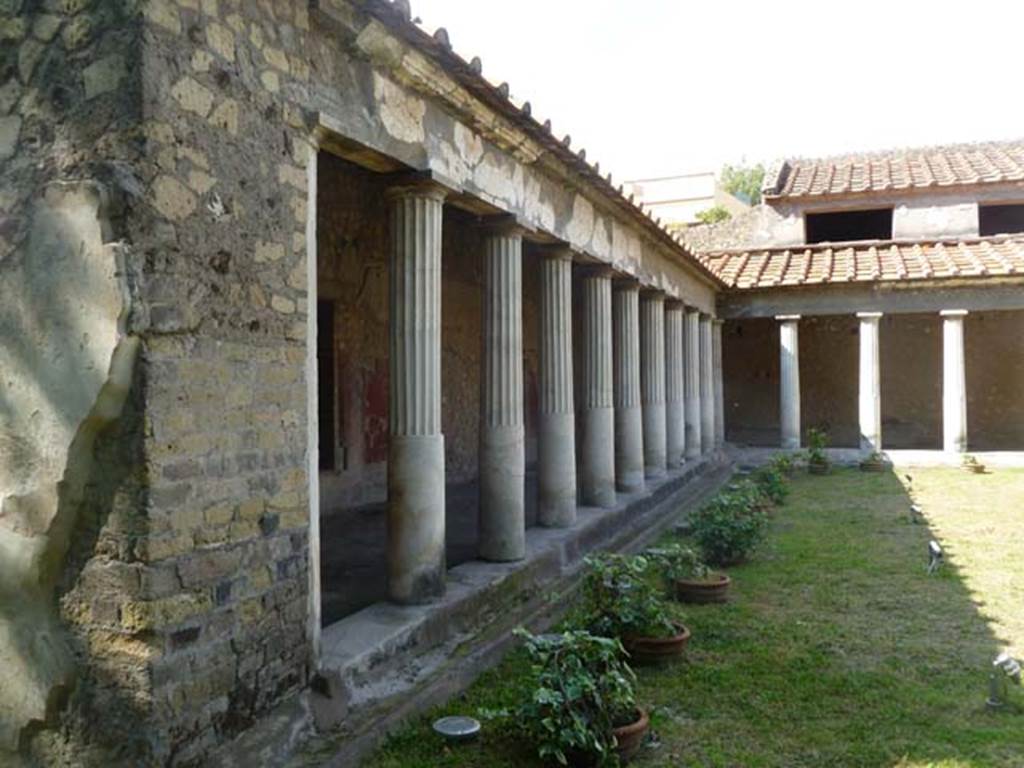 Oplontis, May 2011. Area 59, the south-east peristyle. Looking north along west portico, with terracotta pots planted with Ivy. These terracotta pots have been replanted in exactly the same place as Wilhelmina Jashemski discovered original pots buried in the soil. (See Jashemski Excavations, 1978)
She thought the pots may have been planted there to encourage climbers to grow up the columns. She thought Ivy was the most probable plant, as Roman gardeners did not have a great choice of climbers. Photo courtesy of Michael Binns.