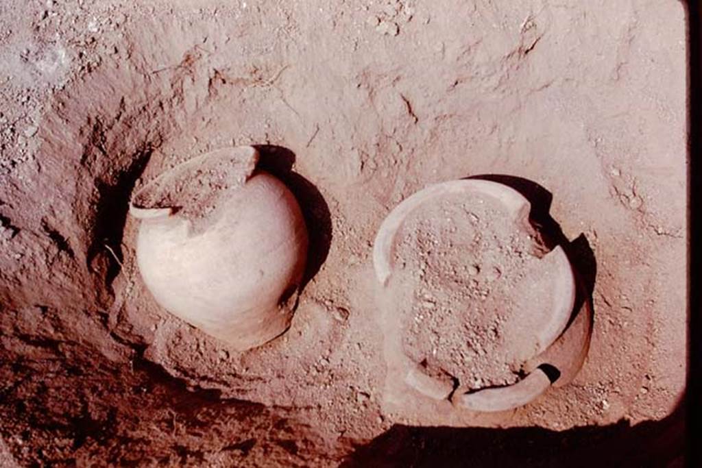 Oplontis, 1978. Detail of two buried pots, one upright, the other planted slanting towards a column of the portico. Photo by Stanley A. Jashemski.   
Source: The Wilhelmina and Stanley A. Jashemski archive in the University of Maryland Library, Special Collections (See collection page) and made available under the Creative Commons Attribution-Non Commercial License v.4. See Licence and use details. J78f0656