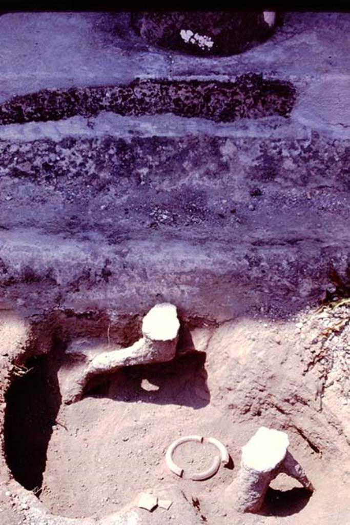Oplontis, 1978. Filled root cavities and a buried pot. Photo by Stanley A. Jashemski.   
Source: The Wilhelmina and Stanley A. Jashemski archive in the University of Maryland Library, Special Collections (See collection page) and made available under the Creative Commons Attribution-Non Commercial License v.4. See Licence and use details. J78f0660