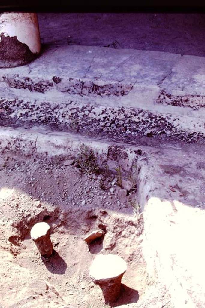 Oplontis, 1978. Filled root cavities at corner of portico. Photo by Stanley A. Jashemski.   
Source: The Wilhelmina and Stanley A. Jashemski archive in the University of Maryland Library, Special Collections (See collection page) and made available under the Creative Commons Attribution-Non Commercial License v.4. See Licence and use details. J78f0666