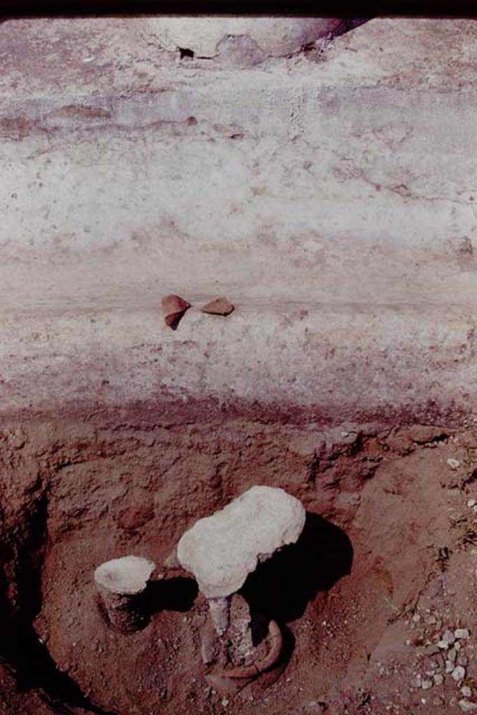 Oplontis, 1978. Two filled root-cavities, and fragment of broken pot on the edge of the portico. Photo by Stanley A. Jashemski.   
Source: The Wilhelmina and Stanley A. Jashemski archive in the University of Maryland Library, Special Collections (See collection page) and made available under the Creative Commons Attribution-Non Commercial License v.4. See Licence and use details. J78f0670