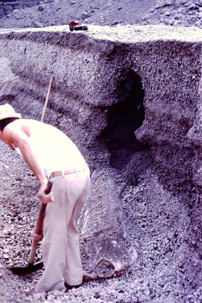 Oplontis Villa of Poppea, July 1983. Headless statue of Nike from a cavity in the lapilli, near statue base 10 (X).
Source: The Wilhelmina and Stanley A. Jashemski archive in the University of Maryland Library, Special Collections (See collection page) and made available under the Creative Commons Attribution-Non Commercial License v.4. See Licence and use details. Oplo0218