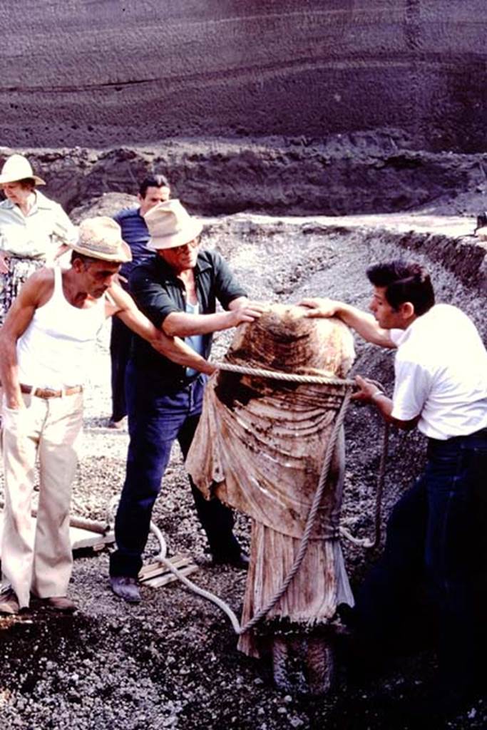 Oplontis Villa of Poppea, July 1983. Statue carefully being removed from lapilli. In the background is Wilhelmina.
Source: The Wilhelmina and Stanley A. Jashemski archive in the University of Maryland Library, Special Collections (See collection page) and made available under the Creative Commons Attribution-Non Commercial License v.4. See Licence and use details. Oplo0154
According to Wilhelmina, writing in 1984 – “So far six of the white marble statues that were displayed on the statue bases have been recovered. Beginning at the south end, there was a head of Hercules on the marble pillar on statue base 3, next an ephebe, and then a large statue of Nike. (see 1978 Jashemski excavations).
Balancing these in corresponding positions along the north end of the pool, was another Nike from statue base 10, a statue of Artemis/Diana (?) still standing on the statue base in front of root cavity 11, and next a head of Hercules on the marble pillar on the base in front of root cavity 12.”
See Jashemski, W.F., 2014. Discovering the Gardens of Pompeii: Memoirs of a Garden Archaeologist, (p.292)