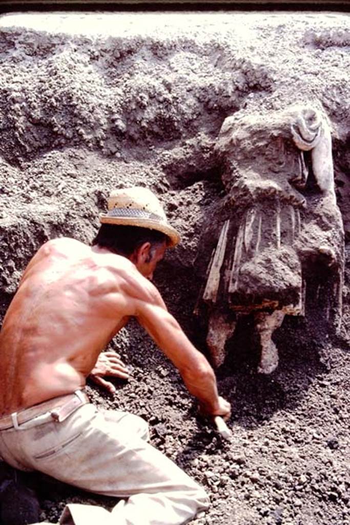 Oplontis Villa of Poppea, July 1983. Carefully removing the lapilli from around the statue. 
Source: The Wilhelmina and Stanley A. Jashemski archive in the University of Maryland Library, Special Collections (See collection page) and made available under the Creative Commons Attribution-Non Commercial License v.4. See Licence and use details. Oplo0244