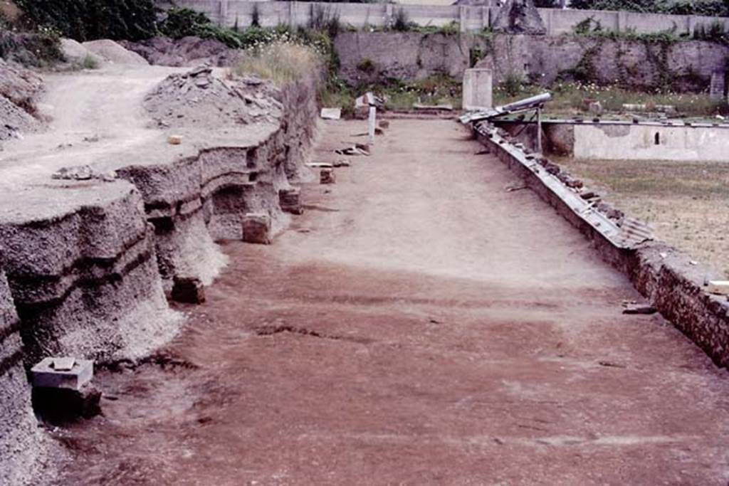 Oplontis, c.1983 or 1984. Looking south along line of statue bases, from 10 to 1. 
Source: The Wilhelmina and Stanley A. Jashemski archive in the University of Maryland Library, Special Collections (See collection page) and made available under the Creative Commons Attribution-Non Commercial License v.4. See Licence and use details.
Oplo0217