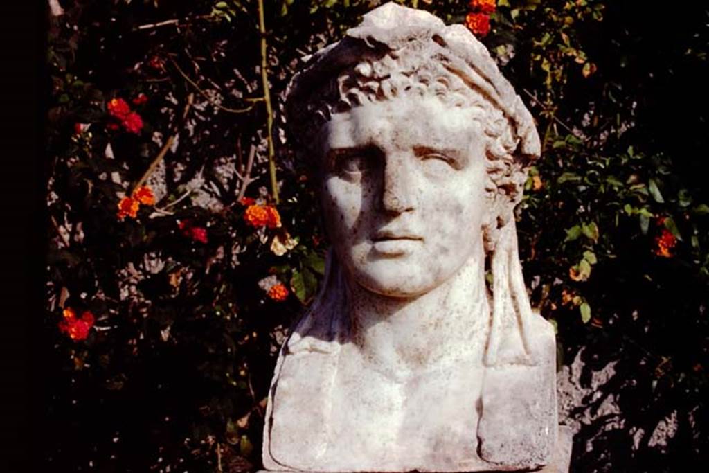 Oplontis Villa of Poppea, c. 1984. Herm of Hercules, found on a marble pillar in front of root-cavity 12. 
Source: The Wilhelmina and Stanley A. Jashemski archive in the University of Maryland Library, Special Collections (See collection page) and made available under the Creative Commons Attribution-Non Commercial License v.4. See Licence and use details.
Oplo0056
SAP inventory number 73300.