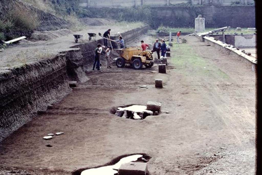 Oplontis, c.1984. Looking south on east side of swimming pool, from filled root-cavity 11.
Source: The Wilhelmina and Stanley A. Jashemski archive in the University of Maryland Library, Special Collections (See collection page) and made available under the Creative Commons Attribution-Non Commercial License v.4. See Licence and use details. Oplo0028
According to Wilhelmina, root-cavity 10 and 11 were of large trees, probably plane trees.