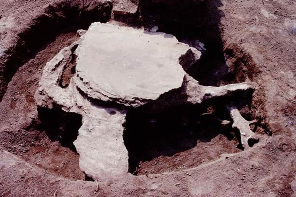 Oplontis, c.1984. Filled root cavity near statue base 6.
Source: The Wilhelmina and Stanley A. Jashemski archive in the University of Maryland Library, Special Collections (See collection page) and made available under the Creative Commons Attribution-Non Commercial License v.4. See Licence and use details.
Oplo0013