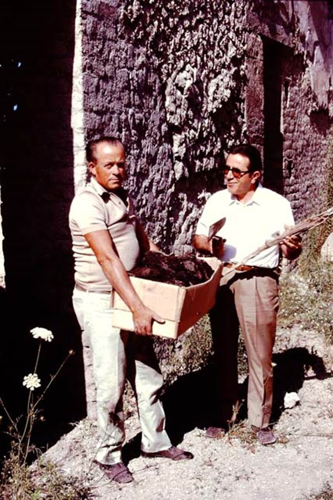 Oplontis, Villa of Lucius Crassius Tertius. 1978. Area 20, south side of peristyle, outside room 12. Holding finds. 
According to the Soprintendenza, lungo i bracci di tale peristilio, completamente ricostruito, ricollocando in loco gli originari rocchi delle colonne e i relativi capitelli, vi è una serie di stanze, molto probabilmente magazzini, almeno a giudicare da quanto in essi rinvenuto (pesi, suppellettili, ceramica da trasporto, paglia carbonizzata, una grande quantità di piccoli e acerbi melograni, utilizzati forse per la concia delle pelli).
Along the arms of the peristyle, completely rebuilt on site by relocating the original columns and their capitals, there is a series of rooms, probably warehouses, at least judging from what was found in them (weights, furnishings, ceramics, charred straw, a large amount of small and unripe pomegranates, perhaps used for tanning leather).
See Villa on the Soprintendenza web site
Photo by Stanley A. Jashemski.   
Source: The Wilhelmina and Stanley A. Jashemski archive in the University of Maryland Library, Special Collections (See collection page) and made available under the Creative Commons Attribution-Non Commercial License v.4. See Licence and use details.
J78f0614