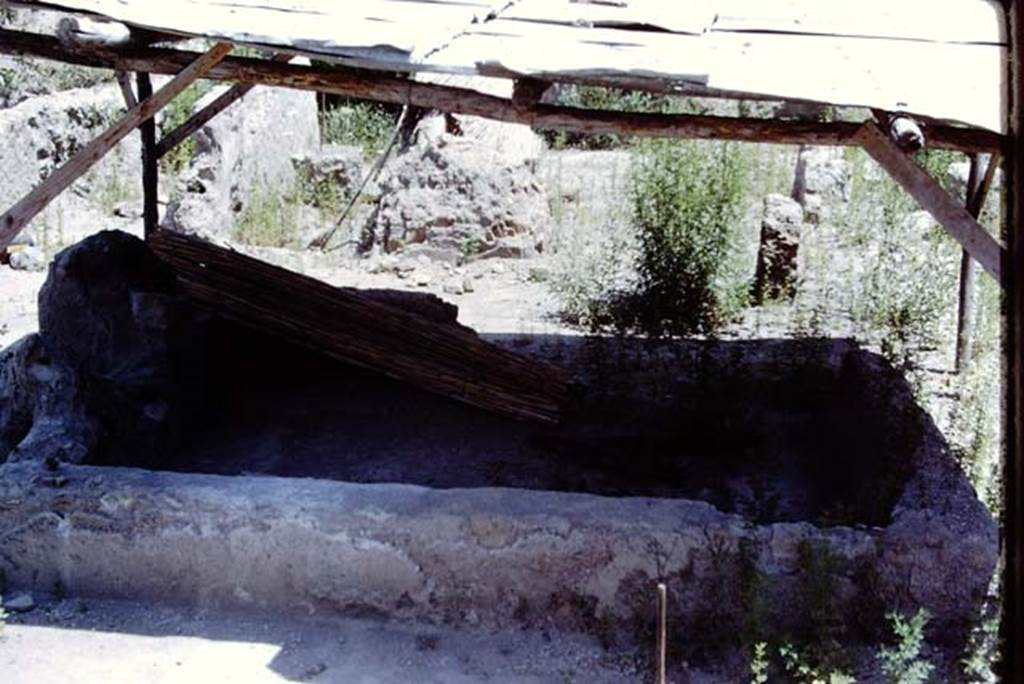 Oplontis, Villa of Lucius Crassius Tertius. 1975. Photo by Stanley A. Jashemski.   
Source: The Wilhelmina and Stanley A. Jashemski archive in the University of Maryland Library, Special Collections (See collection page) and made available under the Creative Commons Attribution-Non Commercial License v.4. See Licence and use details.
J75f0421