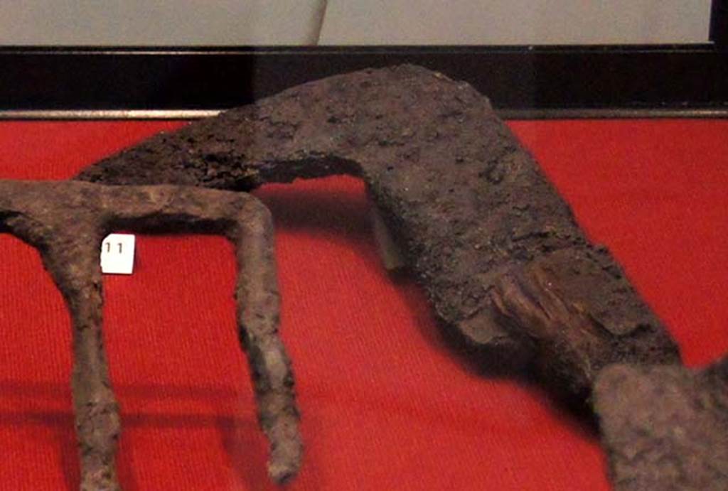 Gragnano, Villa rustica in Località Carmiano, Villa A. Billhook found in room 4.
Stabiae Antiquarium, inventory number 63416 
Detail from photo courtesy of Margaret Hicks.