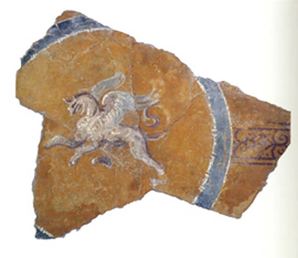 Gragnano, Villa rustica in Località Carmiano, Villa A. Hippogriff from ceiling of southern portico 6. 
Stabiae Antiquarium, inventory number 63695. 
According to Camardo, the porch that protected the south wing of the villa was painted, as was shown by the remains still in situ at the twin-column gemina, and by the figure of a hippogriff in a circle which decorated the ceiling of that porch.
See Camardo D., Ferrara A., Longobardi N., 1989. Stabiae: le ville. Castellammare di Stabia, p. 69-70, p. 76, fig. 91.