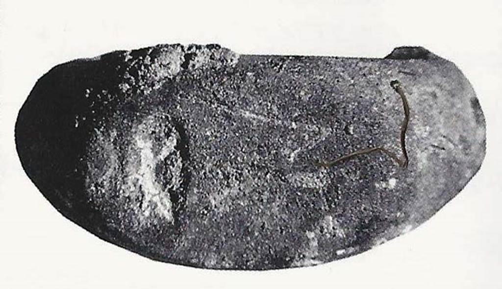 Gragnano, Villa rustica in Località Carmiano, Villa A. Top of ring of seal found in courtyard 6.
According to Magalhaes this has a very small K scratched, with also a graffito N made at a later time.
See Magalhaes M. M., 2006. Stabiae Romana. Castellamare: Nicola Longobardi, p. 45, p. 247, fig. 148b.