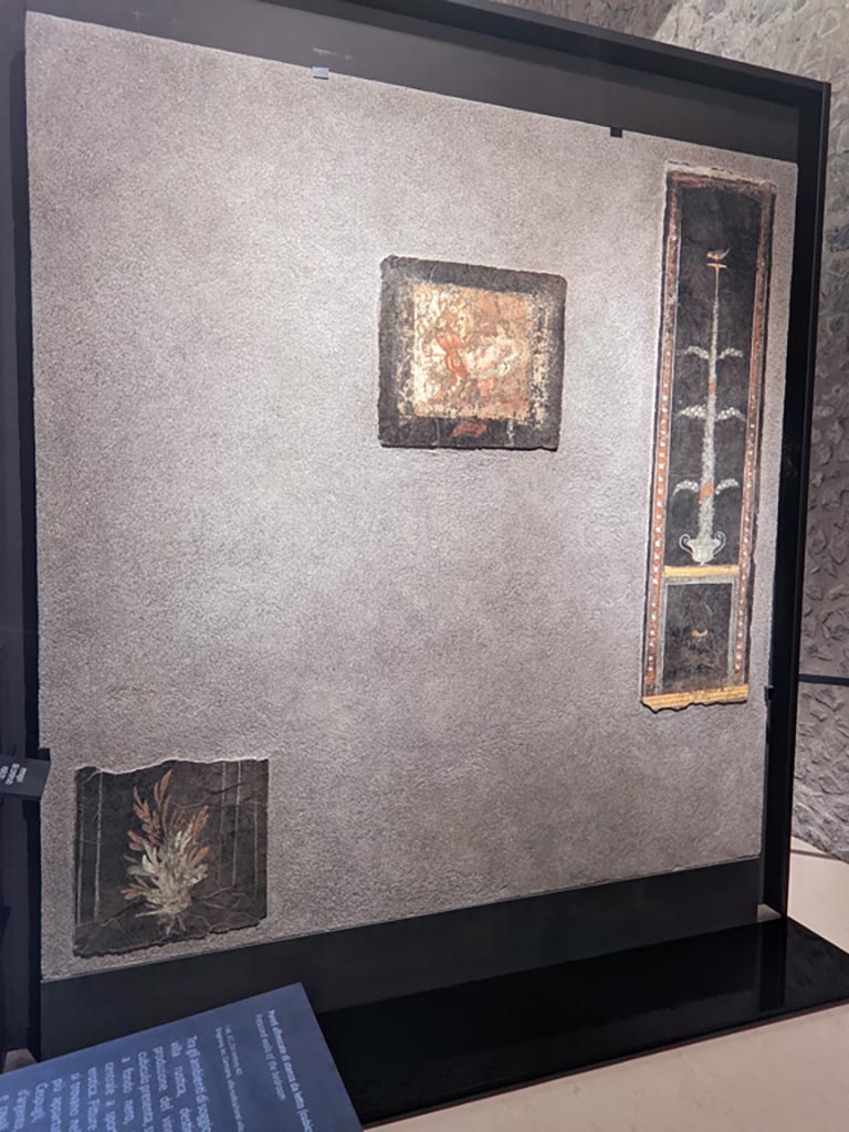 Gragnano, Villa rustica in Località Carmiano, Villa A. Cubiculum 8 east wall. April 2022.
Photo courtesy of Giuseppe Ciaramella.