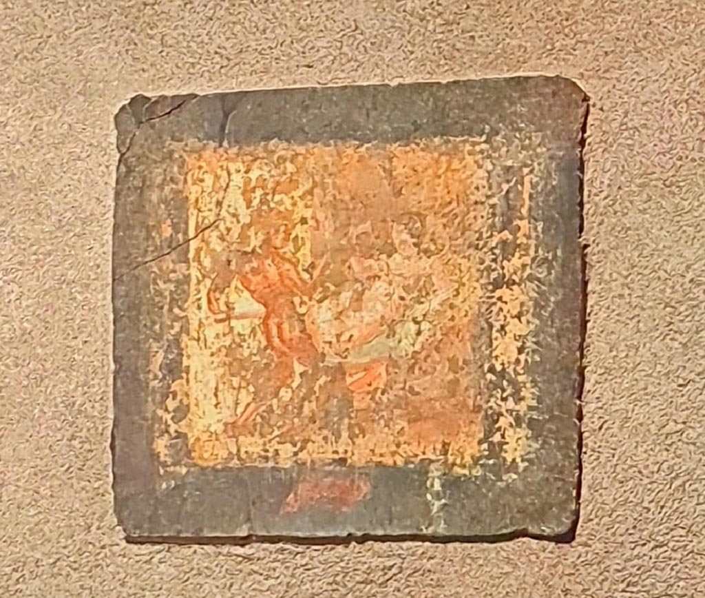 Gragnano, Villa rustica in Località Carmiano, Villa A. Cubiculum 8, erotic painting from centre of east wall. April 2022.
Photo courtesy of Giuseppe Ciaramella.