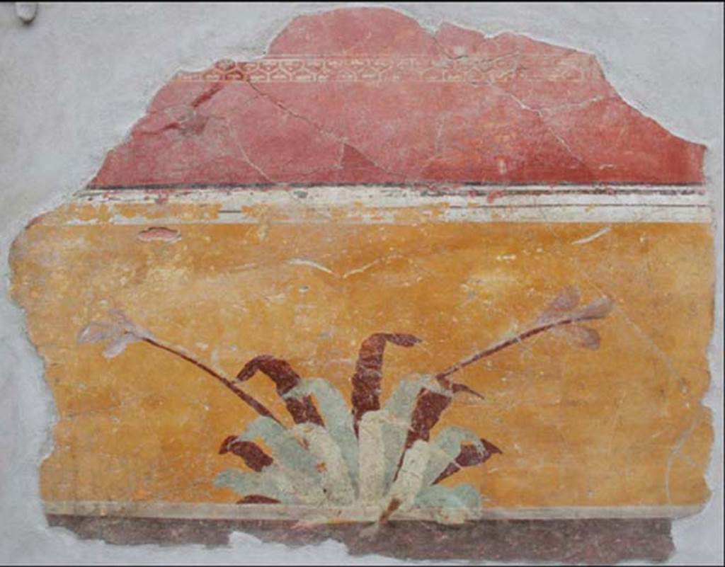 Gragnano, Villa rustica in Località Carmiano, Villa A. Room 11 zoccolo. Flowering plant.
Stabiae Antiquarium, inventory number 63779.
See Guzzo, P, Bonifacio, G, and Sodo, A.M., curated by, 2007. Otium Ludens. Castellammare di Stabia: Nicola Longobardi, p. 162.