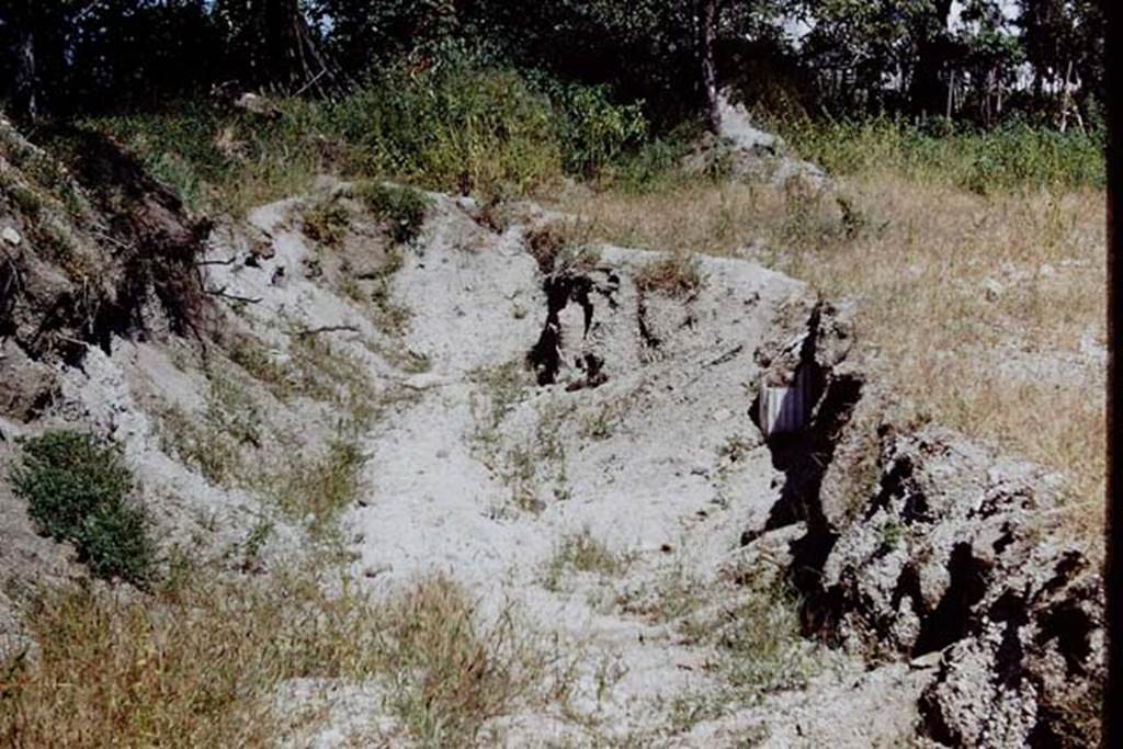 Stabiae, Villa del Pastore. 1968, Excavations in progress. Photo by Stanley A. Jashemski
Source: The Wilhelmina and Stanley A. Jashemski archive in the University of Maryland Library, Special Collections (See collection page) and made available under the Creative Commons Attribution-Non Commercial License v.4. See Licence and use details.
Jmis0082