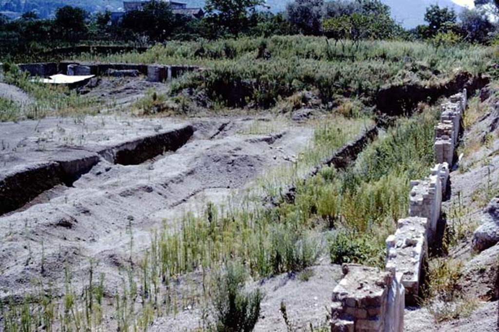 Stabiae, Villa del Pastore. 1959? Villa under excavation. Photo by Stanley A. Jashemski
Source: The Wilhelmina and Stanley A. Jashemski archive in the University of Maryland Library, Special Collections (See collection page) and made available under the Creative Commons Attribution-Non Commercial License v.4. See Licence and use details.
Jmis0083