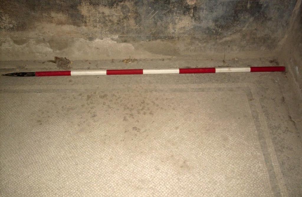 Stabiae Secondo Complesso ambiente 19. 2015.
Photo courtesy of Carmela Ariano, Varano, Secondo Complesso, cubicolo 19, tessellato monocromo con soglia, in TESS – scheda 18035.
http://tess.beniculturali.unipd.it/web/scheda/?recid=18035 
Use: CC BY-NC-SA 2.5 
See PISAPIA, M. S. 1989, in Mosaici antichi in Italia, Regione prima. Stabia, Roma, p. 54, tavv. XXVIII-XXIX.