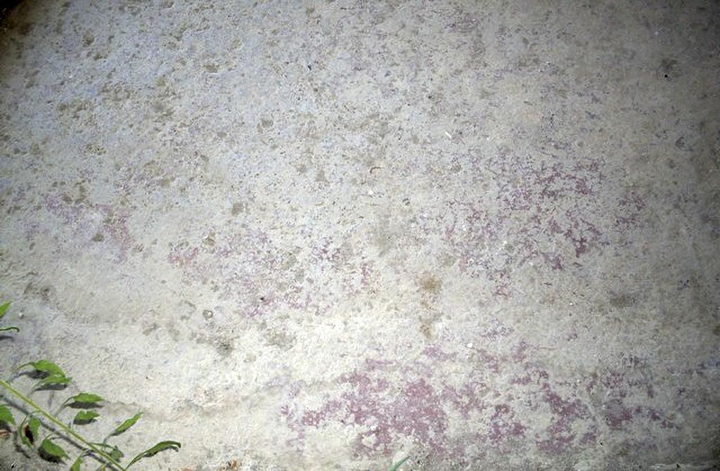Stabiae Secondo Complesso ambiente 20. 2015. Room 20, flooring.
Photo courtesy of Carmela Ariano, Varano, Secondo Complesso, corridoio 20, cementizio a base fittile, in TESS – scheda 18036.
http://tess.beniculturali.unipd.it/web/scheda/?recid=18036 
Use: CC BY-NC-SA 2.5
See Bonifacio, G., Sodo, A., 2001, in Stabiae. Guida Archeologica alle Ville, Castellammare di Stabia, p. 179.